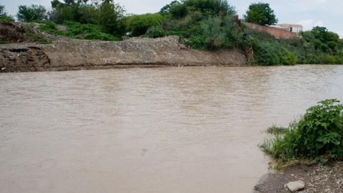 Ataque salvaje en Salta