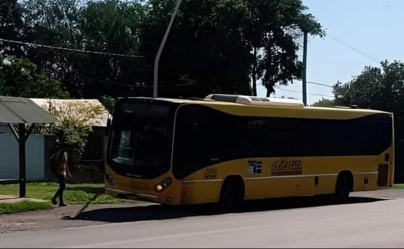 Línea de Rosario Bus