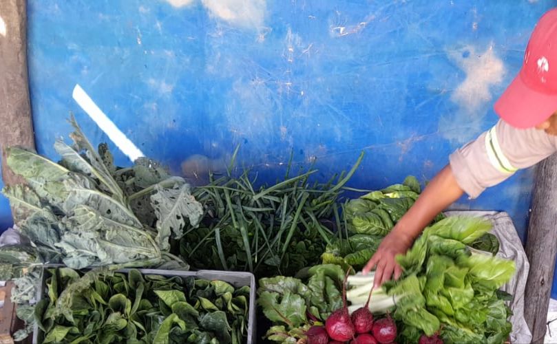 Juan Manuel Tejerina, trabajando el campo con mucho amor