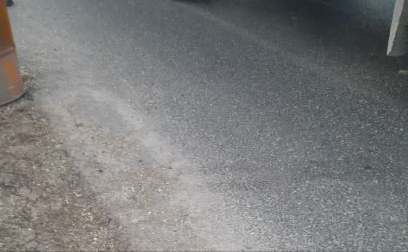 Al filo: entre la ruta y las ratas