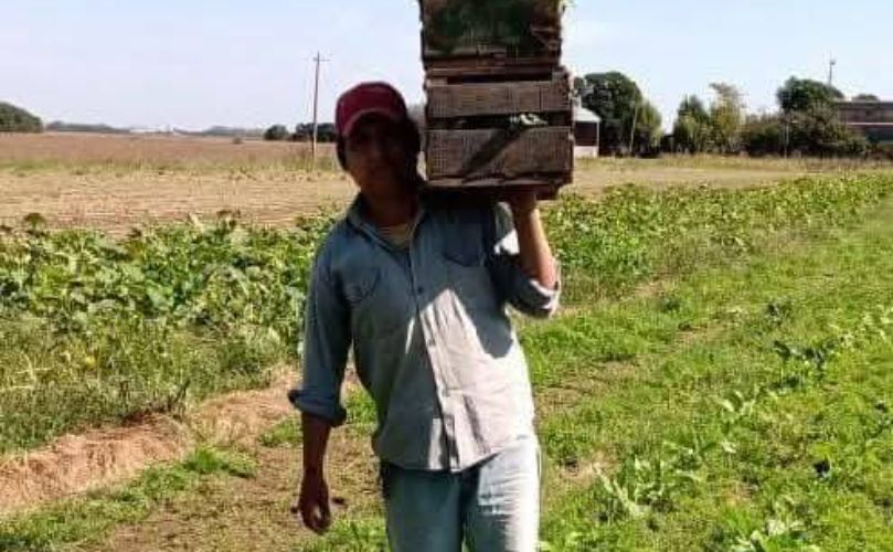 Tejerina trabajando el campo con el sudor de su frente