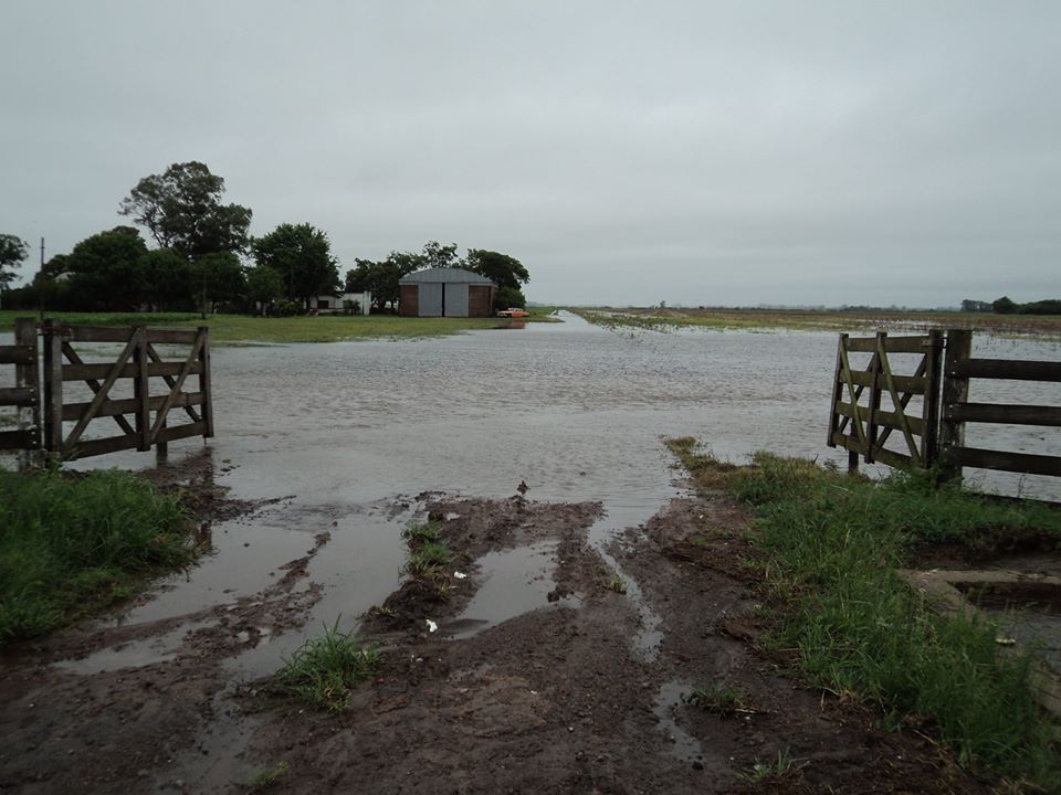 Tras la lluvia se repite la misma imagen