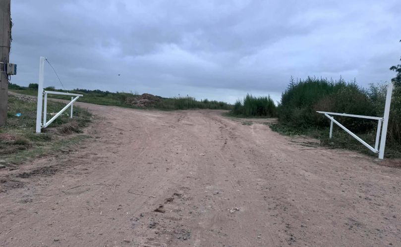 Biolagos en General Lagos