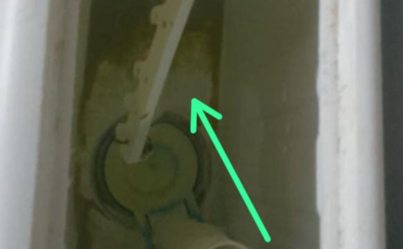 Imagen tomada por la vecina