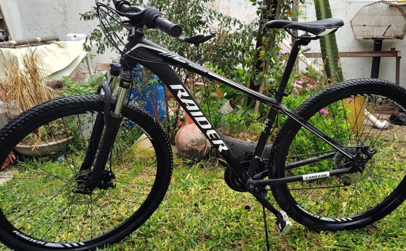 Iagen de la bicicleta robada en General Lagos