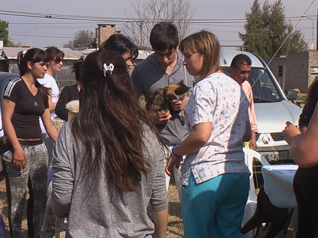 Durante la campaña del fin de semana