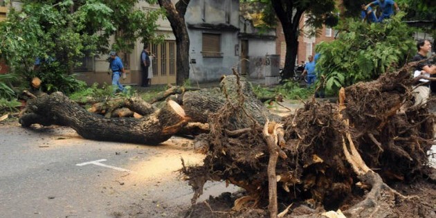 Postales después de la tormenta