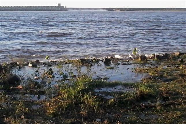 Inusual crecida del río Paraná, vista de la Isla San Antonio.