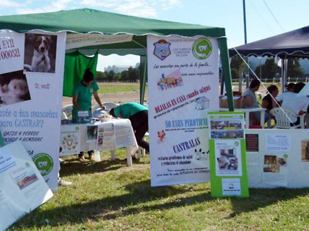 Defensa. La protectora de Las Parejas buscó infructuosamente a los perros desaparecidos. 