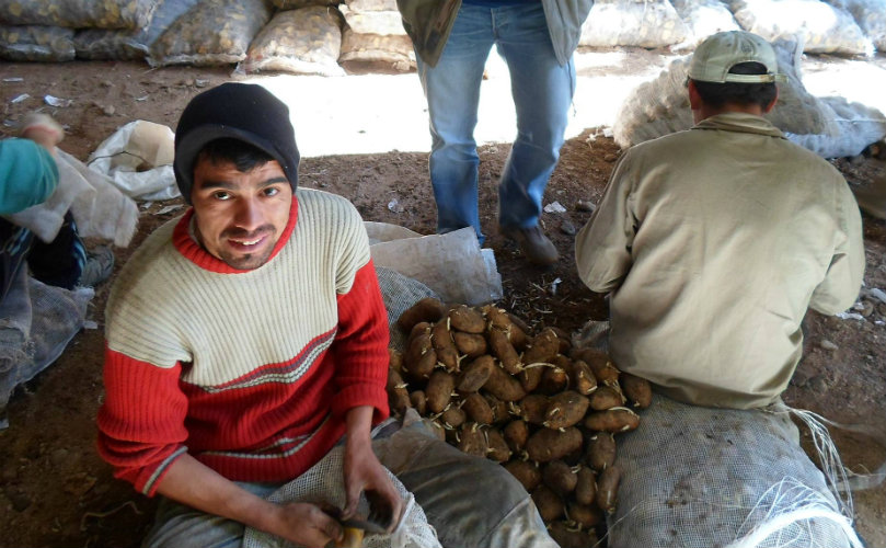 Trabajadores hortícolas