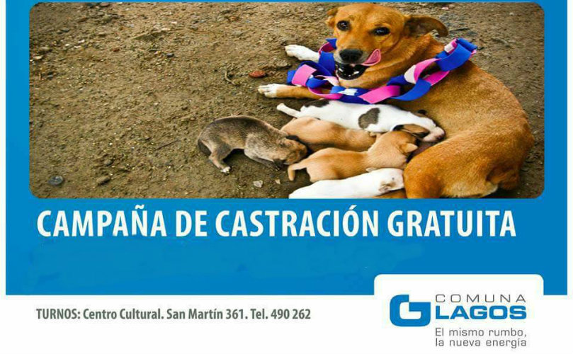 Campaña de castración 