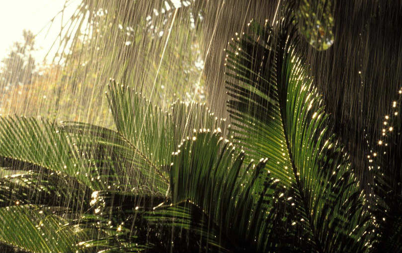 Se esperan abundantes lluvias