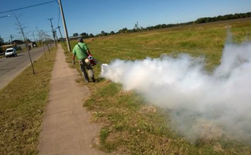 La fumigación se lleva a cabo en los espacios verdes de la comunidad 