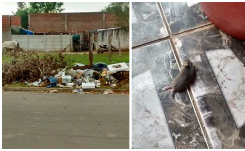 Basural ubicado sobre un terreno baldio del Barrio Santa Anita 