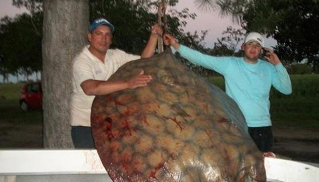 Sorpresa para los pescadores