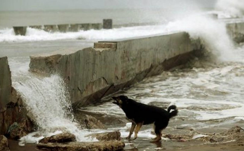 El viento sopló a unos 100 km/h