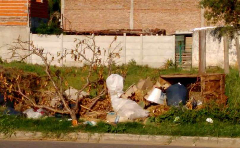 Hace tres semanas que se encuentran estos residuos sobre calle Rivadavia