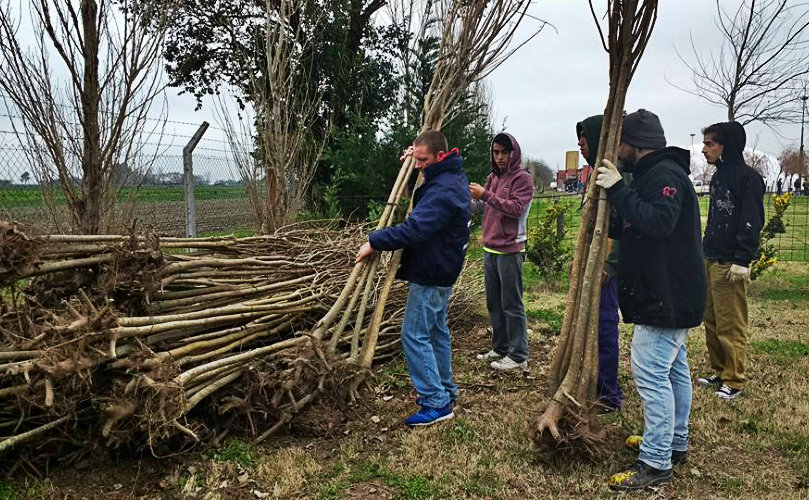 El interesante proyecto verde de Alvear 