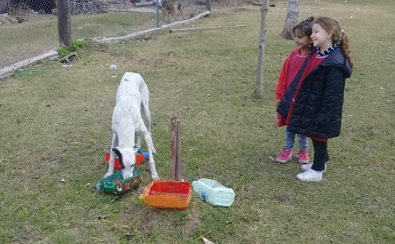 Una jornada atravesada por el amor