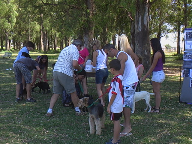 Gran labor del grupo local