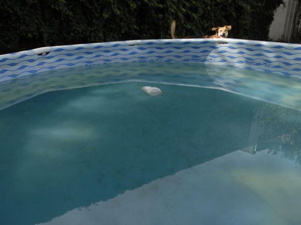 Según la policía, la víctima manipulaba una bomba purificadora de una piscina. (Foto de archivo)