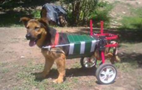 Así tuvo que recuperarse Charly después que lo atropellara una moto.